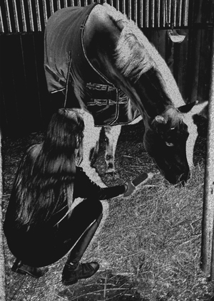 hippotherapy