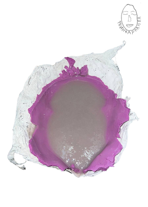 история животиков