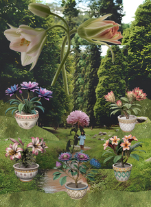 INFINITY PLANT HOME EDITION