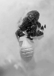 POST_RIOT