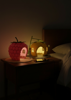 Домашние остановки