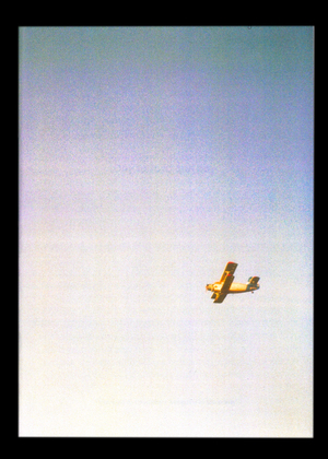 Серия ваз Сан-Паулу