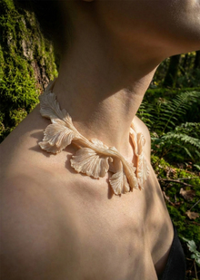 Mycelia Mycelia