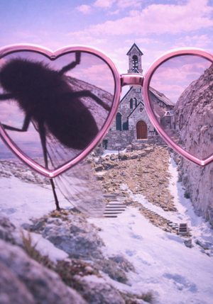 Стёклами внутрь