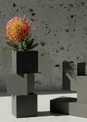 Серия ваз Сан-Паулу