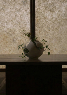 Invase. Серия ваз