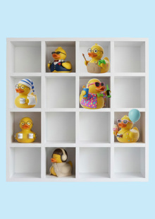 Diary Duck: Daily States