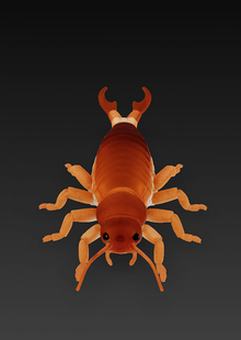 Plush Bugs