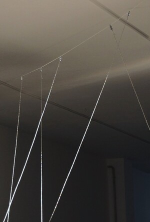 Координата x