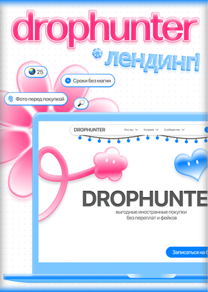 Drophunter | Лендинг