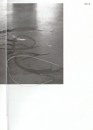 Water Poetic Exubera