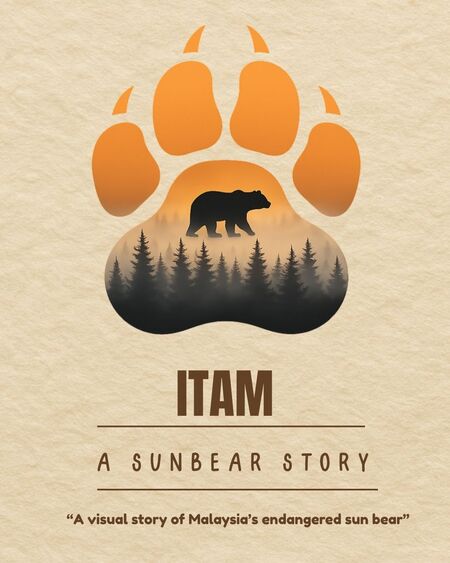 The Sun Bear Documentary Poster Design Challenge