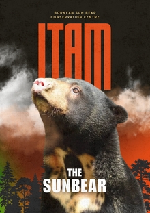 Poster for ITAM: A&nbsp;Sun Bear Story