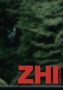 Culture Mirror: ZHI Culture Mirror: ZHI