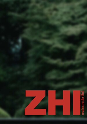 Culture Mirror : ZHI