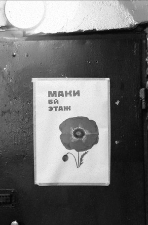 Короткометражный фильм "Маки"
