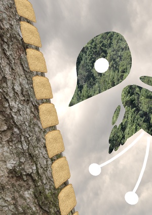 Что едят пёс, птица, кот?