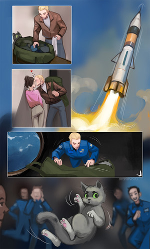 Космокот