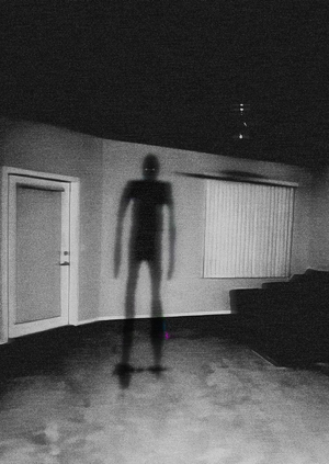 Прислушиваясь к тени