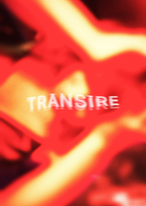 серия фотографий TRĀNSĪRE