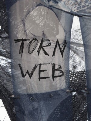 torn web