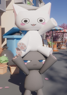 Cat 2 Door Cat 2 Door