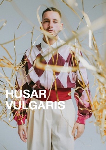 Husar Vulgaris: профайл бренда