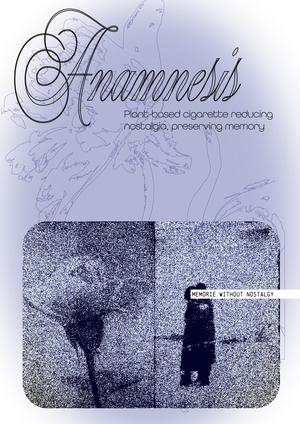 Culture Mirror ANAMNESIS