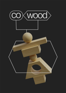 Упаковка конструктора co-wood Упаковка конструктора co-wood