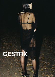 CESTRX: профайл бренда