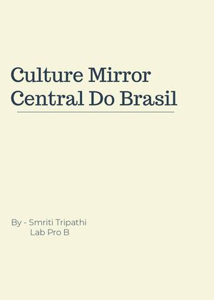 Culture Mirror