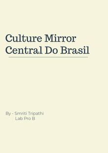 Culture Mirror