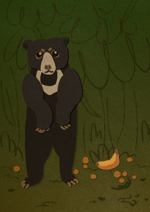 Itam: the sun bear