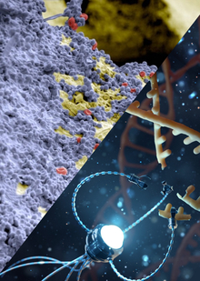 III. Микророботы, регенерация зубов и синтетическая эмаль… Что дальше?