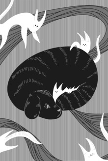 Кот и&nbsp;пёс