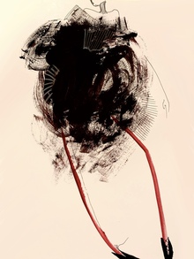 ILLUSTRATIONS