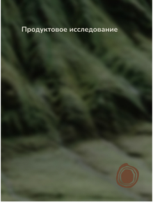 Продуктовое исследование
