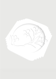 Porcelain plate for Dries