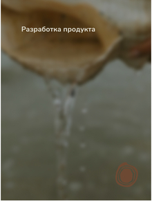 Разработка продукта