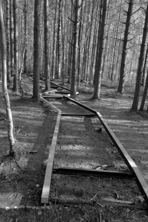 Против перепроизводства?