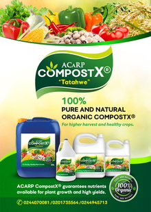 Brand Promotion Flyer