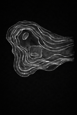 Точка обзора 