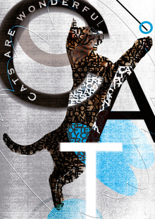 cat poster