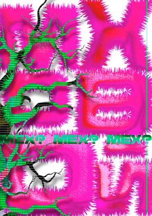 fur poster