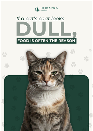 Hurayra Pet Foods – Social Media Campaign & Brand Narrative