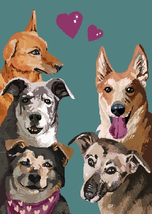 Как помочь приюту?