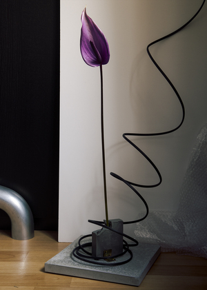 Escapist Perseverance