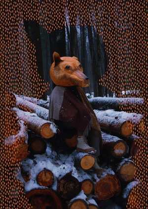 Пьер Безухов в поисках дома