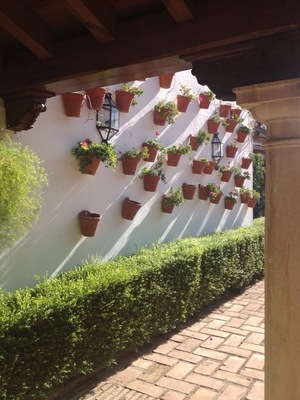 Patios andaluces