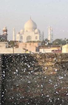 Сценарий фильма «Жемчуг»